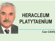 HERACLEUM PLATYTAENİUM