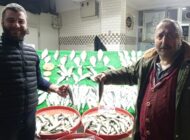 BALIKÇILAR HAMSİDEN UMDUĞUNU BULAMADI