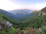 BÖLGEMİZDE ORMANLIKLARA GİRİŞ/ÇIKIŞLAR SINIRLANDIRILDI!