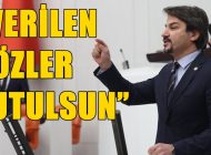 CHP’Lİ ERTUĞRUL, TOKİ SORUNSALINI MECLİSE TAŞIDI!