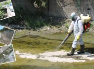 BELEDİYE, DERE YATAKLARINI VE SULAK ALANLARI İLAÇLIYOR