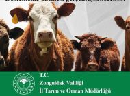 ZONGULDAK’TA ÜRETİCİYE 29.5 MİLYON TL’LİK DESTEK
