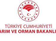 DESTEKLEME ÖDEMELERİ ÇİFTÇİLERİN HESAPLARINA AKTARILIYOR