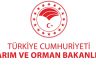 DESTEKLEME ÖDEMELERİ ÇİFTÇİLERİN HESAPLARINA AKTARILIYOR