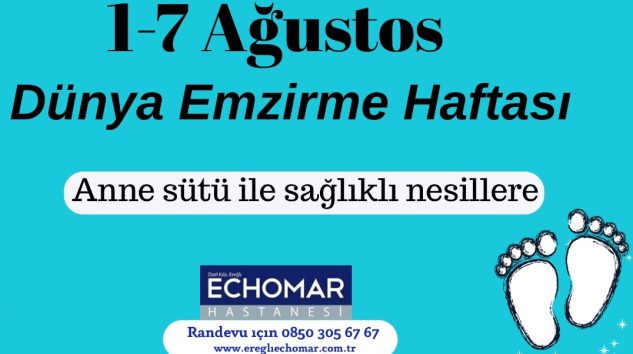 ECHOMAR HASTANESİ ANNE SÜTÜNÜN ÖNEMİNİ VURGULADI!