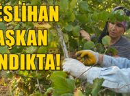 “ÜRETEN TÜRKİYE” DİLEKLERİ İLE KOLLARI SIVADI!