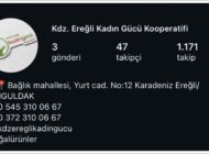 SAHTE HESAPLA DOLANDIRICILIK İDDİASI!