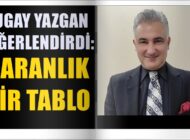 TÜRKİYE’DE GENÇLER ARASINDA SUÇ VE ŞİDDET!