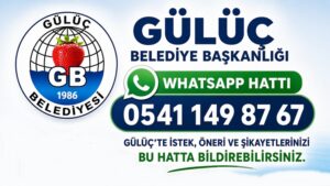 GÜLÜÇ BELEDİYESİ İLETİŞİMİ CEBE SIĞDIRDI!