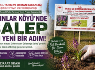 EREĞLİ AYDINLAR KÖYÜ’NDE SALEP DÖNEMİ BAŞLIYOR