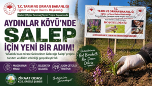 EREĞLİ AYDINLAR KÖYÜ’NDE SALEP DÖNEMİ BAŞLIYOR
