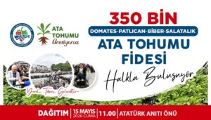 ATA TOHUMU FİDELERİ HALKA DAĞTILACAK