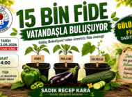 GÜLÜÇ BELEDİYESİ SEBZE FİDESİ DESTEĞİNDE BULUNACAK