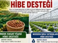 ÜRETİCİLERE FINDIK HASAT FİLESİ VE SERA HİBE DESTEĞİ