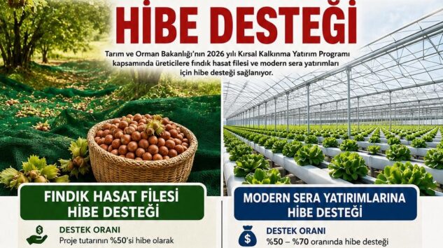 ÜRETİCİLERE FINDIK HASAT FİLESİ VE SERA HİBE DESTEĞİ