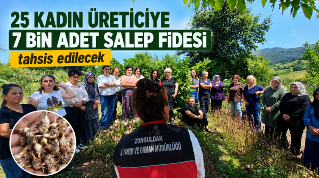 EREĞLİLİ KADIN ÜRETİCİLER SALEP YETİŞTİRMEYİ ÖĞRENİYOR