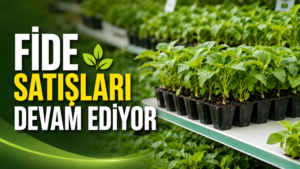 KDZ. EREĞLİ ZİRAAT ODASI’NDAN FİDE ÇAĞRISI