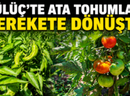 BAŞKAN KARA TARIMSAL ÜRETİMİ TEŞVİK EDİYOR