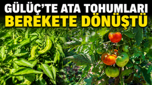 BAŞKAN KARA TARIMSAL ÜRETİMİ TEŞVİK EDİYOR