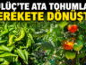 BAŞKAN KARA TARIMSAL ÜRETİMİ TEŞVİK EDİYOR