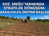 MARALFALTA, HAYVANCILIKTA GİRDİ MALİYETİNİ AZALTACAK