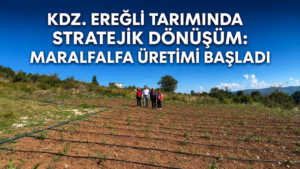 MARALFALTA, HAYVANCILIKTA GİRDİ MALİYETİNİ AZALTACAK