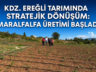MARALFALTA, HAYVANCILIKTA GİRDİ MALİYETİNİ AZALTACAK